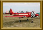 001-Yak52red-003fr.JPG