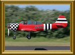 001-Yak52red-012fr.JPG