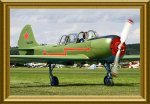 q-Yak52l-green-008fr_001.JPG