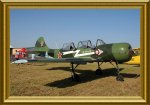 q-Yak52l-green-007fr_001.JPG