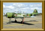 q-Yak52l-green-010fr.JPG