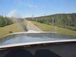 Bisons_on_Alaska_Highway_-_1__2_.jpg