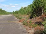 pines_cut_along_the_runway_-_1.jpg