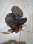 IMG-20190809-WA0010.jpg