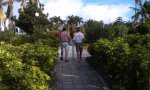 Bahamas_2011_-_1__1_.jpg