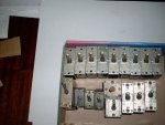 SDC10384.JPG