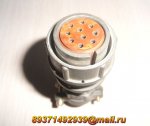 2rmd24kpn10g5v1.jpg