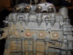 DSC07891-1.JPG