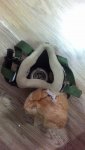 IMG-20181001-WA0009.jpg