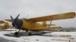 an-2_001.jpg