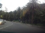 image-1.jpg