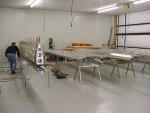 xenos_wings_020402.jpg