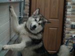 DSC00314.JPG