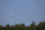 IMG_5370-1.JPG