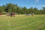 piper_cub_gathering.jpg