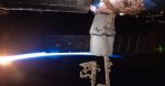 spacex-elon-musk-dragon.jpg