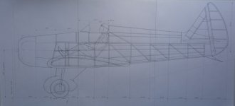 IMG_20250510_143737.jpg