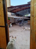 IMG_20250522_193024_755.jpg