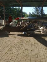 IMG_20250813_174757_159.jpg