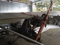IMG_20250813_174830_004.jpg