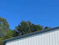 smIMG_3490.JPG