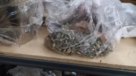 WhatsApp Image 2025-12-15 at 13.29.59.jpeg