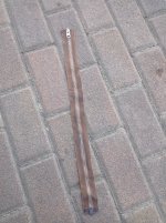 IMG_20260402_105422.jpg