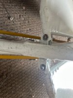 IMG_2950.jpeg