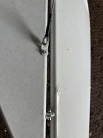 IMG_2951.jpeg