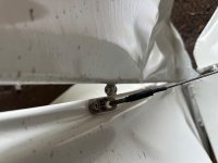IMG_2953.jpeg