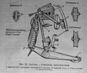 7656555.jpg