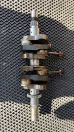 IMG_8133.jpeg