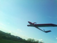 IMG_20260625_085052.jpg