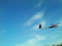 IMG_20260625_085031.jpg