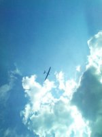 IMG_20260625_085021.jpg