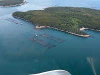 Oyster Farm - 1.jpeg