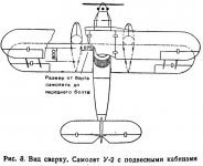 scale_2400 (4).jpg