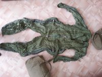 20150607_145044.jpg