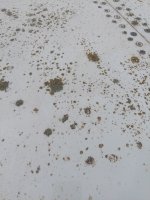 20260711_134830.jpg