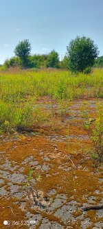 IMG_20260727_133709_373.jpg