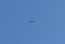 smIMG_7997.JPG