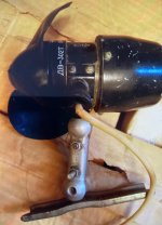 IMG_0137-compressed.jpeg