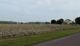 hiking in Bloomsburg PA - 1 (2).jpeg