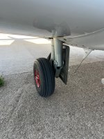 IMG_1667.jpeg