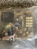 IMG_0207-compressed.jpeg