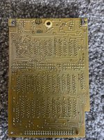 IMG_0202-compressed.jpeg
