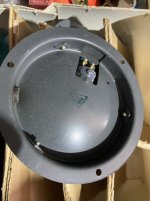 IMG_0303-compressed.jpeg