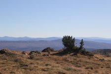 IMG_0154.JPG