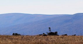 IMG_0137.JPG