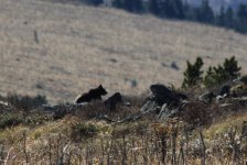IMG_0138.JPG